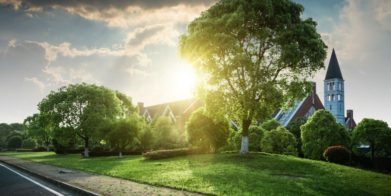 House behind some trees and shrubs