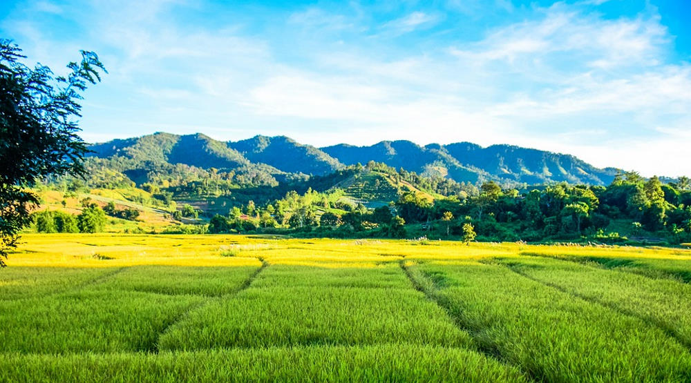 empty plot of land with mountains in distance