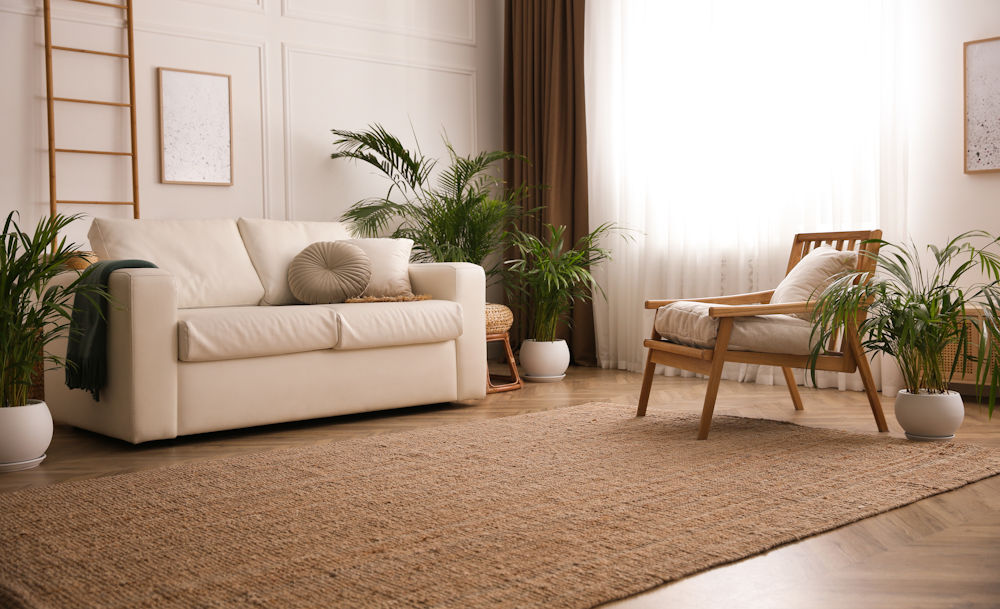 large rug in living room