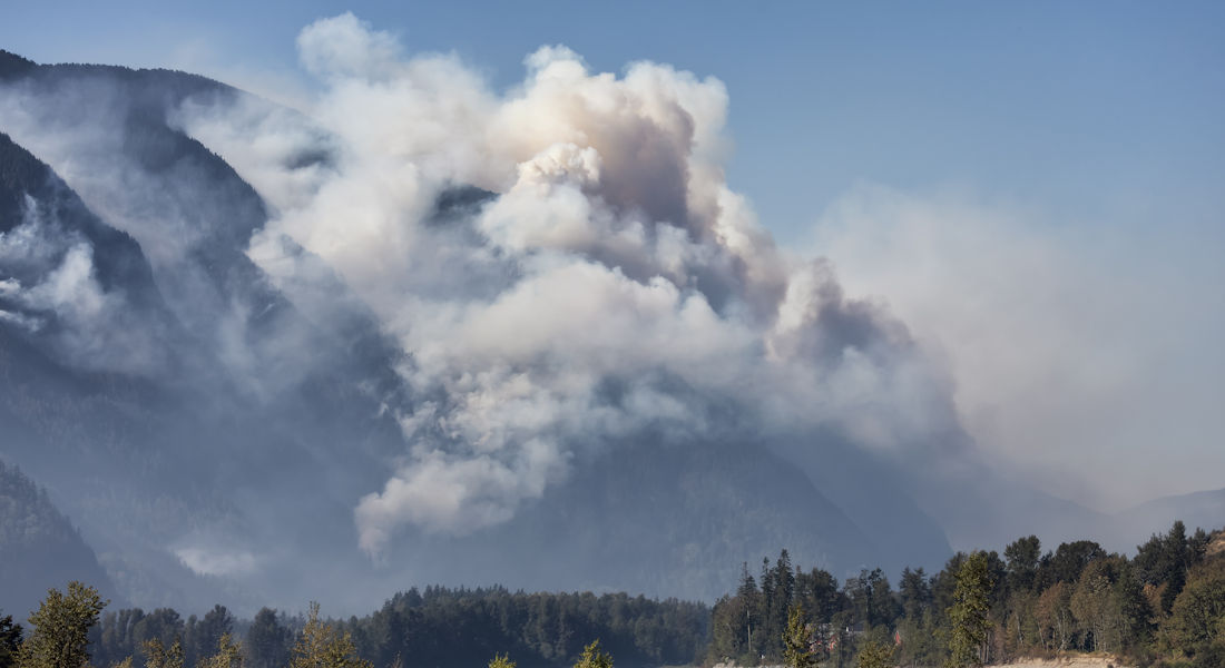 wildfire smoke above forest
